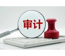 財(cái)務(wù)代理